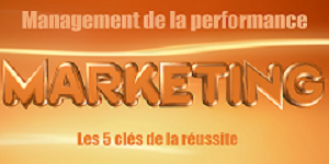 Hive9, USA valide et VisionEdge Marketing viennent de publier les résultats 2017 de leur étude annuelle sur le Management de la Performance Marketing (MPM).